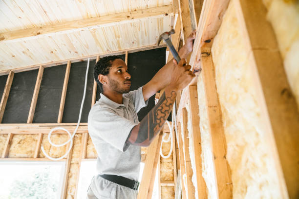 Best Attic Insulation Installation  in Ly Lake, IL